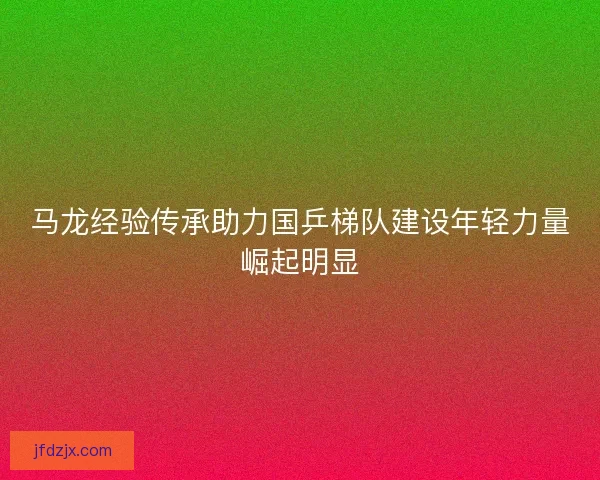 马龙经验传承助力国乒梯队建设年轻力量崛起明显 马龙经验传承助力国乒梯队建设年轻力量崛起明显