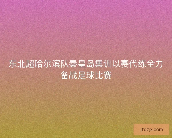 东北超哈尔滨队秦皇岛集训以赛代练全力备战足球比赛 东北超哈尔滨队秦皇岛集训以赛代练全力备战足球比赛
